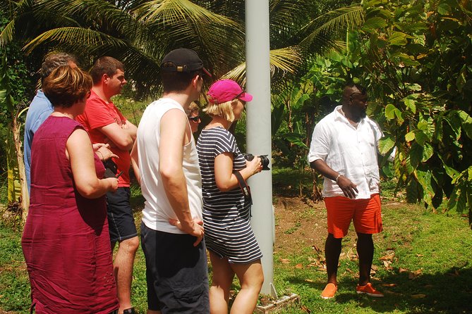 South Coast Tour - Exploring the South Coast