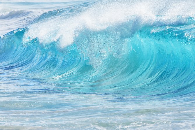 South East and Windward Oahu Private Tour Review - Pricing and Cancellation