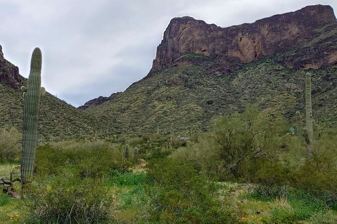 Southern Arizona Full-Day Historical Tour From Phoenix - Private Tour - Pricing and Inclusions