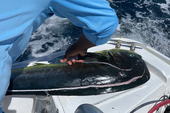 Sport Fishing Half Day a Guided Private Tour Flamingo Costa Rica - Booking Information