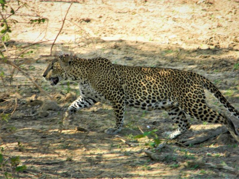 Srilanka - Discover Your Amazing Time With Expert Guide - Tour Offerings