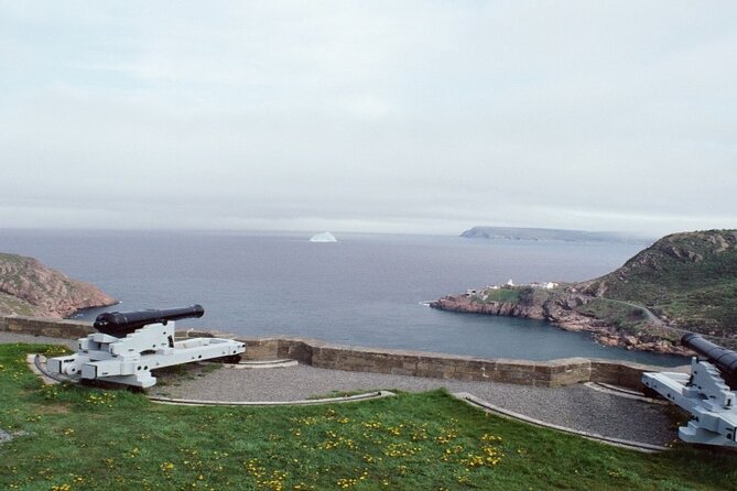 St. Johns, Quidi Vidi Village & Signal Hill Small Group Tour - Accessibility Information