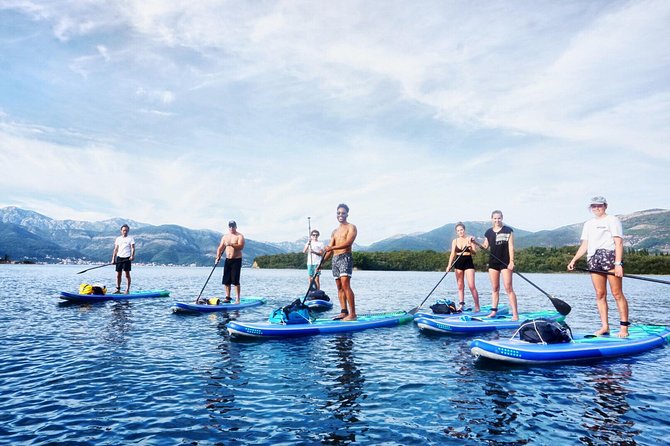 Stand-Up-Paddle Board at Bay of Kotor From Tivat or Kotor - Suitability for Beginner Paddlers