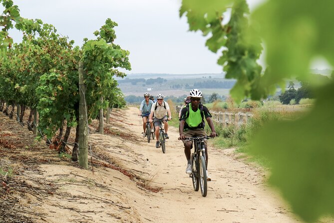 Stellenbosch Half Day Winelands Cycle Tour - Accessibility Information