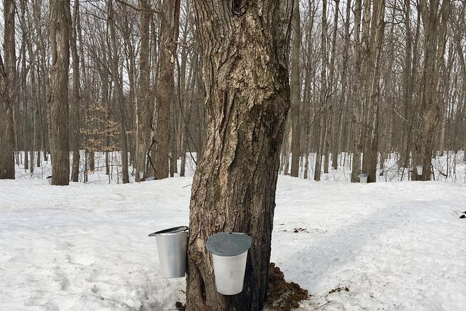 Sugar Shack (Feb to May) Maple Syrup Private Day Tour With Lunch From Montreal - Meeting and Pickup
