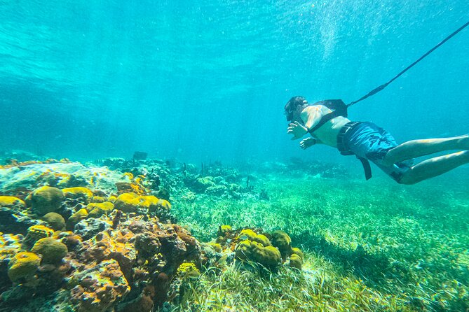 Suncay SNUBA Diving Adventure With Lunch - Response From Host
