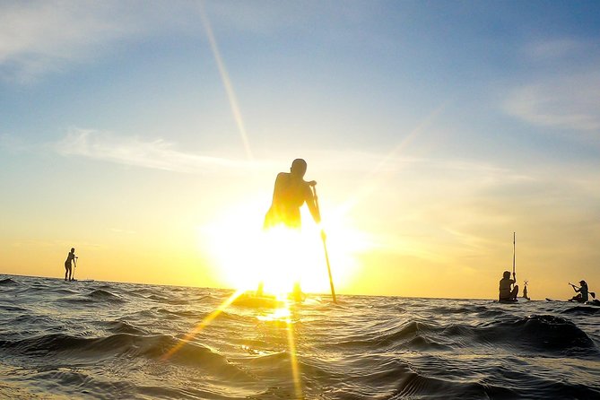 Sunrise Paddleboard Group All Levels Incl. Guide and Instruction - Meeting Point and Schedule