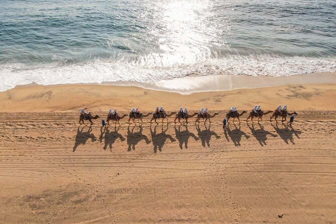 Sunset Beach Camel Ride With Mexican Buffet and Tequila Tasting - Pickup and Logistics