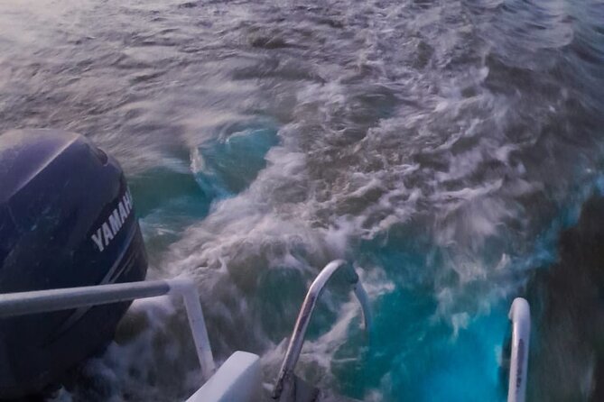 Sunset Boat Ride in the Falmouth Luminous Lagoon Swim and Dinner - Pickup and Transportation