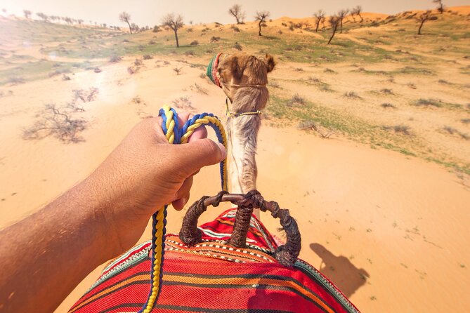 Sunset Camel Ride Including BBQ Dinner From Ras Al Khaimah - Logistics and Booking