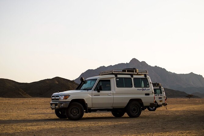 Sunset Jeep Safari Dinner, Camel Ride, Show & Transfers- Hurghada - Jeep Safari Adventure