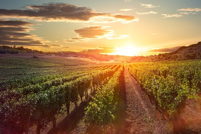 Sunset Sip Wine Tour - Expectations and Guidelines