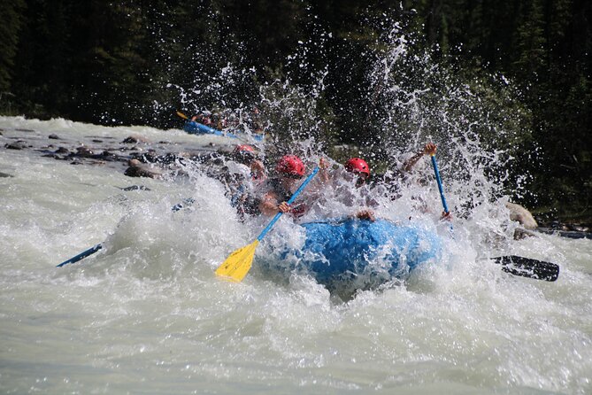 Sunwapta River Self-Drive Rafting Trip - What to Expect on the River
