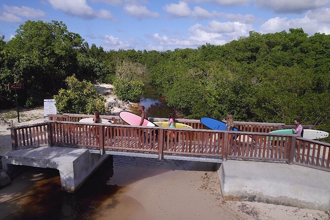 Surf Lessons Guadeloupe Beginners Intermediate Confirmed - Accessibility and Participation