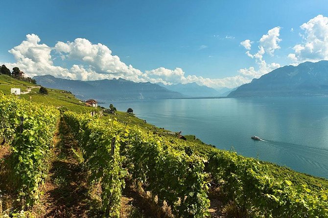 Swiss Wine Tasting at Lavaux Vineyards: Private Trip From Geneva - Logistics and Booking Details