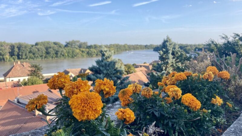 Szentendre: Arts and Cafés Tour (Half-Day Private Tour) - Key Attractions