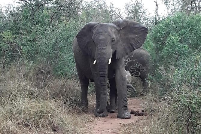 Tala Game Reserve. Natal Lion Park and Valley of 1000 Hills - Transportation and Accessibility