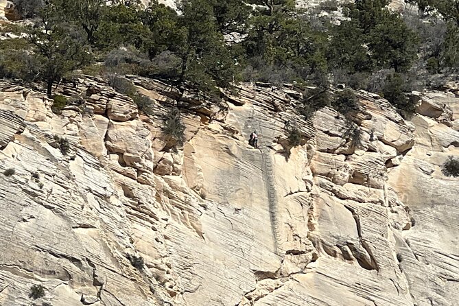 Tallest in Utah via Ferrata & Rappelling (4 Hr) - Meeting Location