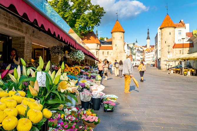 Tallinn Highlights and Marzipan Painting Masterclass - Marzipan Modelling Experience