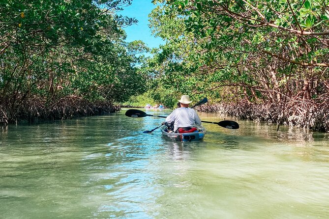 Tambopata Amazon Reserved Zone Exclusive Experience (6 Days) - Accommodations and Meals
