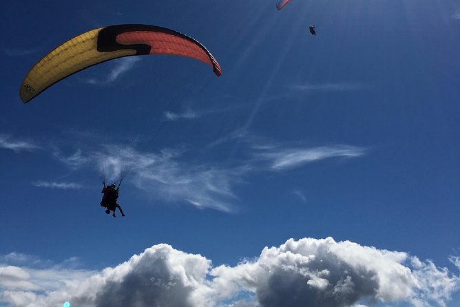 Tandem Paragliding Over the Rugged Lava Fields at Blue Mountains - Safety and Equipment