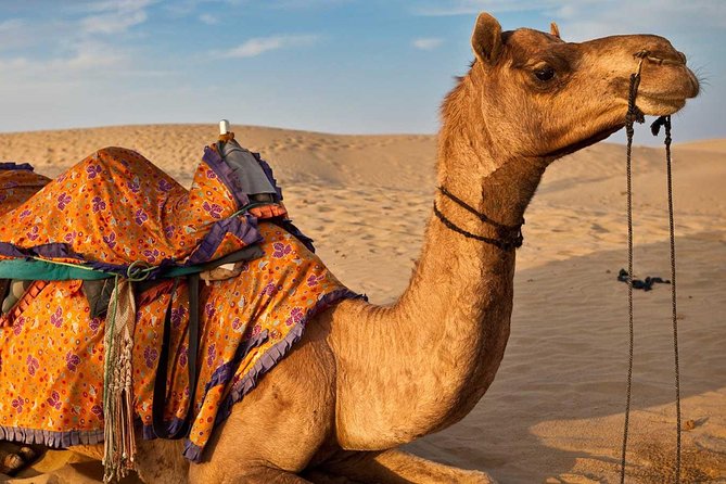 Tangier City Tour - Transport and Accessibility