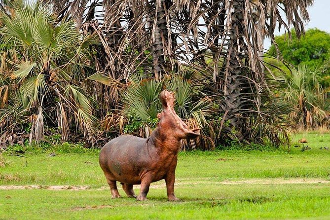Tanzania Safari Join Group - Schedule and Accessibility