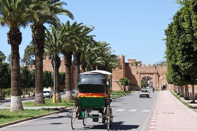Taroudant + Tiout Excursion 1 Day With Homestay Lunch From Agadir - Transportation and Accessibility