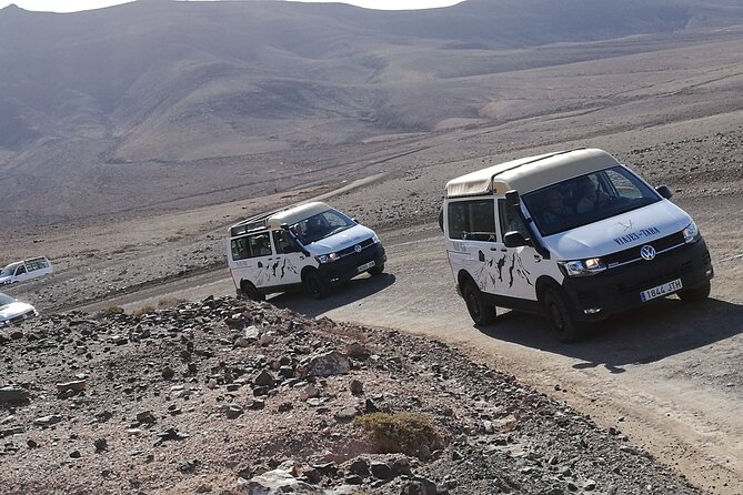 Tastes of Fuerteventura Minivan VIP Tour - Accessibility and Transport