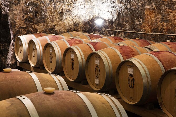 Tasting of Valpolicella Wines Tradition and Modernity - Starter Course Details