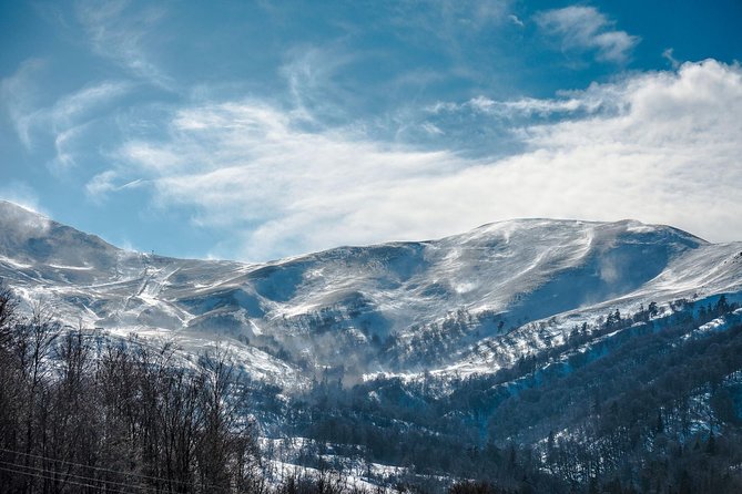 Tbilisi - Bakuriani - Borjomi Private Transfer - Accessibility and Participation