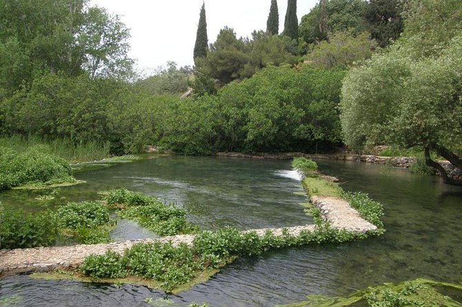Tel Dan and Baniyas National Parks Private Tour - Exploring Tel Dan Nature Reserve