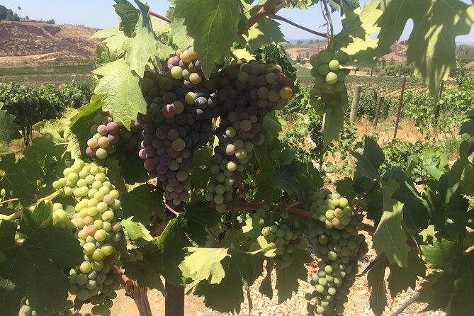 Temecula Wine Tasting PRIVATE Tour - Meeting and Pickup Information