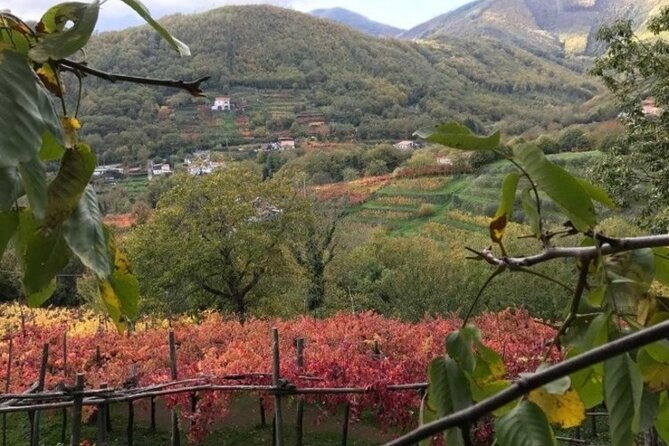 Tenuta San Francesco Wine Tasting - Inclusions and Policies