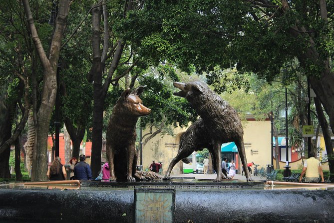 Teotihuacan & Guadalupe Shrine + Xochimilco, Coyoacán & Frida Kahlo Combo Tour - Participant Insights