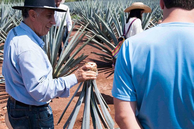 Tequila Distillery Experience, Jose Cuervo & Tequila Magic Town - Optional Jose Cuervo Distillery Visit