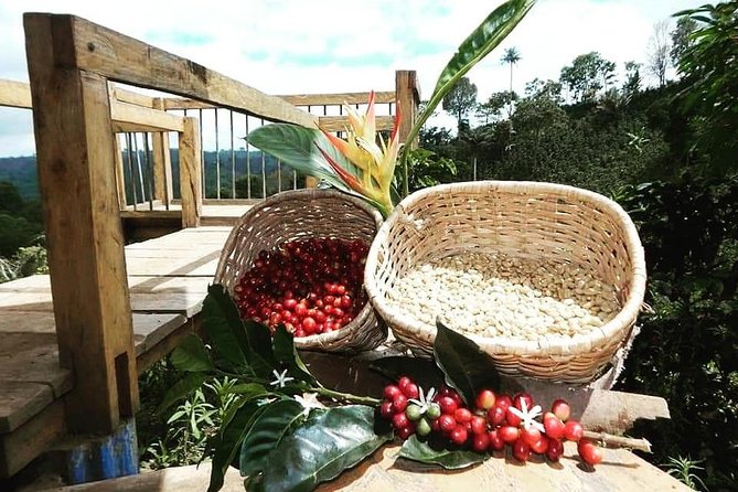 The Acacias Coffe Farm - Tour Itinerary and Inclusions