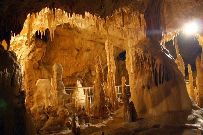 The Bears Cave - One-Day Air Conditioned Car Tour From Oradea - Pickup and Meeting Point