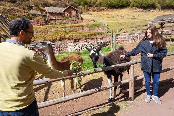 The Best Cusco Tour 4 Days - Private Service - Entrance and Farewell