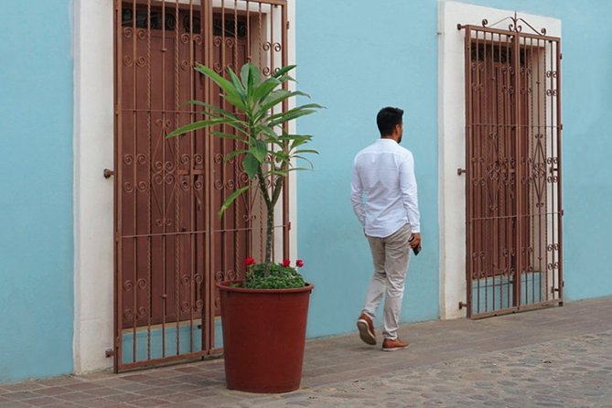The Best of Oaxaca Walking Tour & Mezcal Tasting - Meeting and End Points