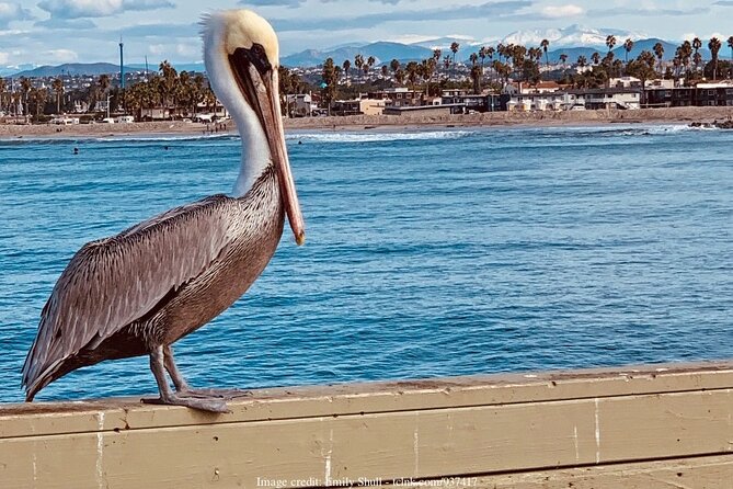The Best of San Diego: Private Walking Tour Including USS Midway - Meeting and End Points