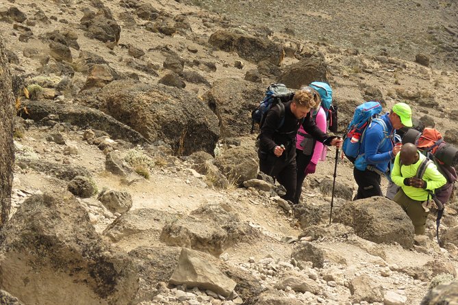 The Best & Unique Kilimanjaro Hiking Tour 7 Days Machame Route - Inclusions and Amenities