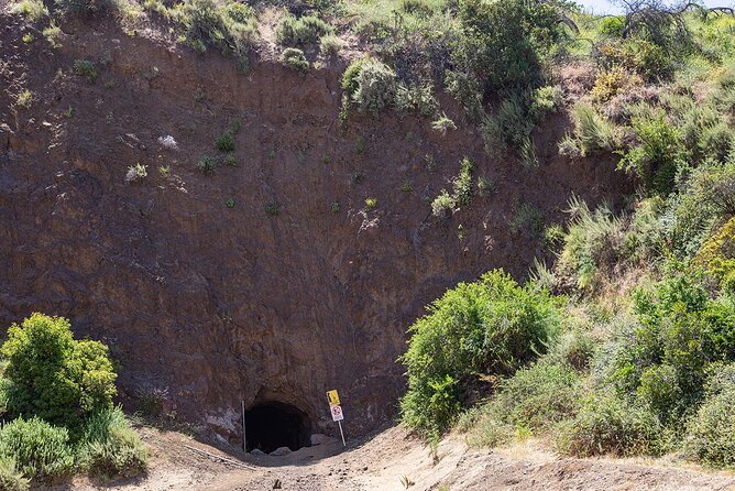 The Bronson Caves Tour - Tour Participant Details