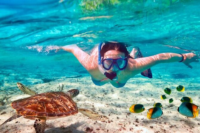 The Cielo Palancar and Columbia Snorkeling Tour - Health and Safety