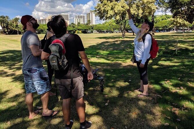 The East Waikiki Walking Tour - Health Considerations
