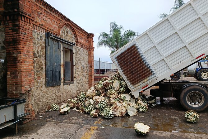 THE FIRE TOUR - Pyramids, Volcanoes, Agaves & Tequila - Pyramids and Agaves