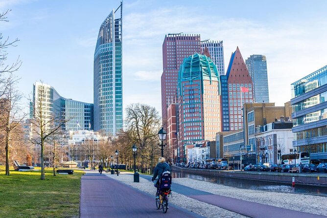 The Hague and Rotterdam Shore Excursion, Private Tour - Tour Accessibility