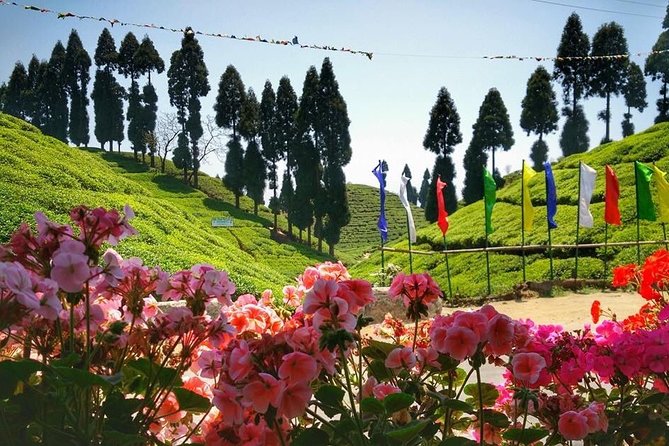 The Land Mark Tour (Nautical Day Darjeeling to Mirik Crusade) - Tips for a Great Experience