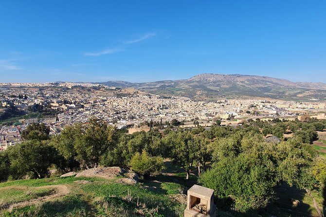 The Map Is Not the Territory, Discover Fez With a Local - Savoring Traditional Mint Tea