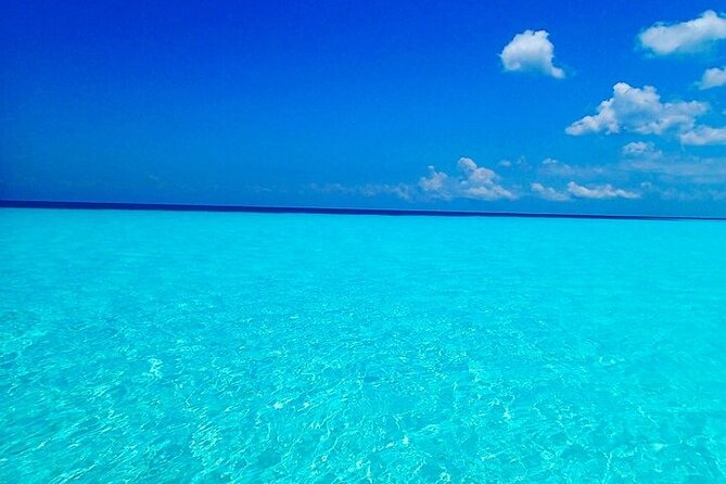 The Sky Cozumel Snorkeling Tour - All-Inclusive - Positive Experiences